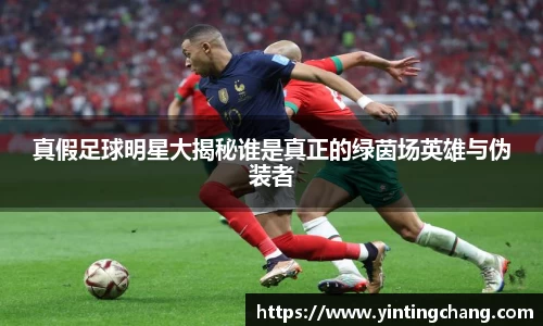 U8娱乐官网入口