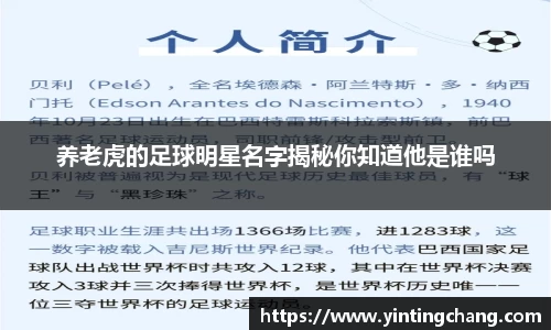 养老虎的足球明星名字揭秘你知道他是谁吗